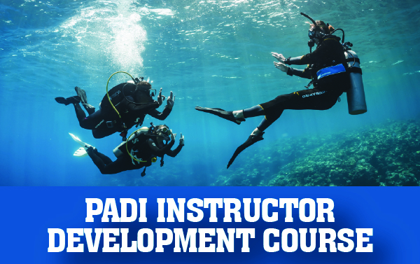 Flyer for PADI Instructor Development Course