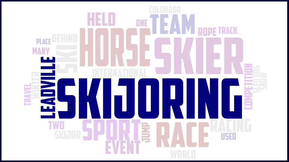 Flyer for Skijoring Shuttle Trip