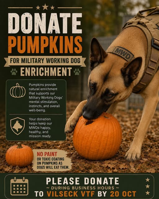 Flyer for Pumpkin Donation Drive for Military Working Dog Enrichment